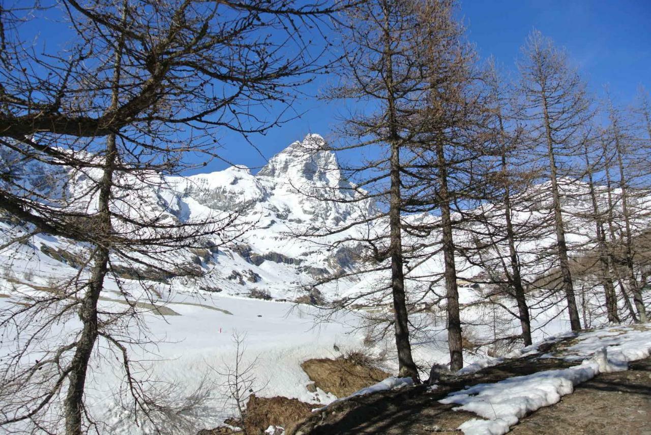 President Palace - Breuil Cervinia -Appartamento 6 - Cir 0634 Exterior foto